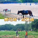 深圳旅游 缩略图 11