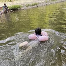 合肥旅游 缩略图 6