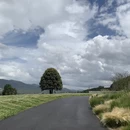 广州旅游 缩略图 1