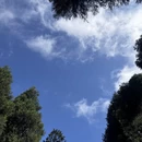 重庆旅游 缩略图 6
