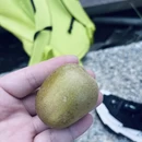 杭州旅游 缩略图 15