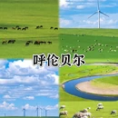 西安旅游 缩略图 9