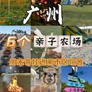 广州旅游 缩略图 1