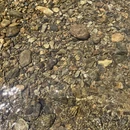杭州旅游 缩略图 10