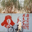 盘锦旅游 缩略图 2