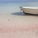 成都旅游 缩略图 8