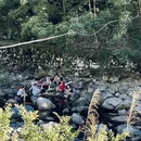 杭州旅游 缩略图 13