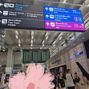曼谷旅游 缩略图 2