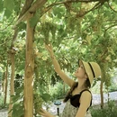 广州旅游 缩略图 6