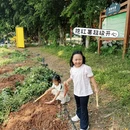 深圳旅游 缩略图 12