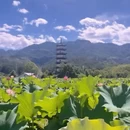 金华旅游 缩略图 13