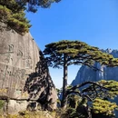 黄山旅游 缩略图 5