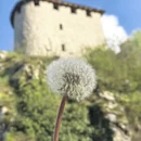 贝尔格莱德旅游 缩略图 6