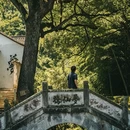 金华旅游 缩略图 9