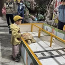 舟山旅游 缩略图 6