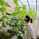 天津旅游 缩略图 12