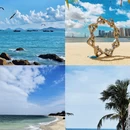 湛江旅游 缩略图 4