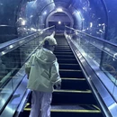 舟山旅游 缩略图 4