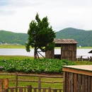 丽江旅游 缩略图 7