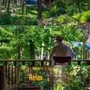 常州旅游 缩略图 11