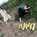 伊犁旅游 缩略图 6