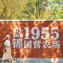 盘锦旅游 缩略图 16