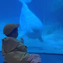 舟山旅游 缩略图 1