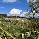 清迈旅游 缩略图 6