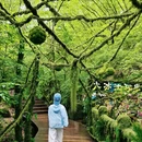 本溪旅游 缩略图 4