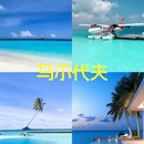 天津旅游 缩略图 6