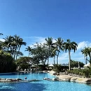 亚庇旅游 缩略图 5