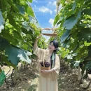 广州旅游 缩略图 17