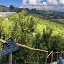 清迈旅游 缩略图 8