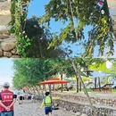 湖州旅游 缩略图 6