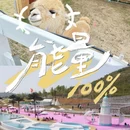 临沂旅游 缩略图 1