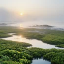 日照旅游 缩略图 3
