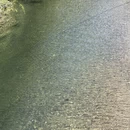 杭州旅游 缩略图 1