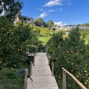 清迈旅游 缩略图 10
