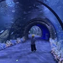 舟山旅游 缩略图 9