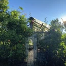 清迈旅游 缩略图 15