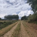 苏州旅游 缩略图 1