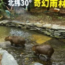 常州旅游 缩略图 6