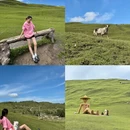 临夏州旅游 缩略图 3
