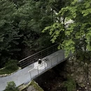 成都旅游 缩略图 12