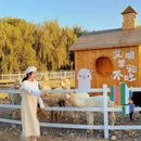 盘锦旅游 缩略图 8