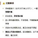 普洱旅游 缩略图 12