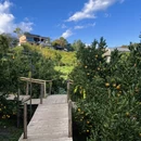 清迈旅游 缩略图 11