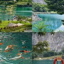 东莞旅游 缩略图 2