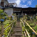 清迈旅游 缩略图 13