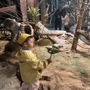 舟山旅游 缩略图 7